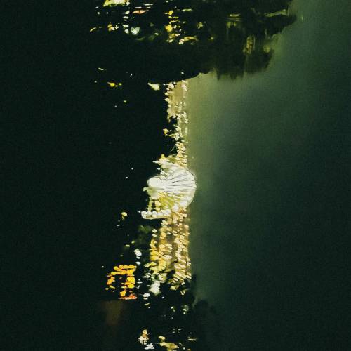 Zeynepsu&nbsp;Ters tepti