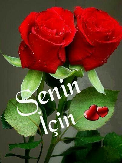 Zisan&nbsp;Senin İçin