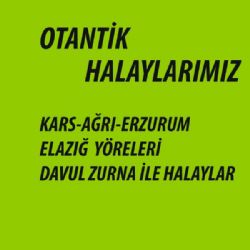 Ziya Özbay&nbsp;Otantik Halaylarımız