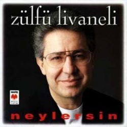 Zülfü Livaneli&nbsp;Neylersin